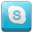 Skype 2 Icon 32x32 png